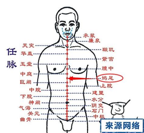 鳩尾穴位置|醫砭 » 經穴庫 » 鳩尾